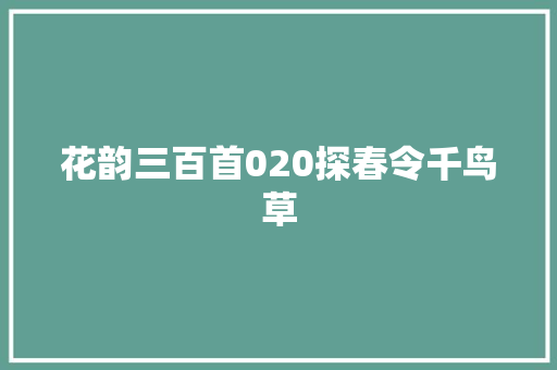 花韵三百首020探春令千鸟草