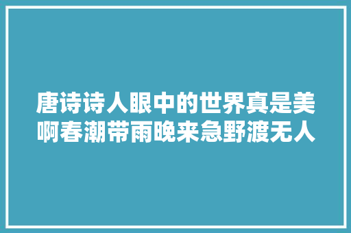 唐诗诗人眼中的世界真是美啊春潮带雨晚来急野渡无人舟自横