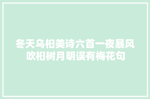 冬天乌桕美诗六首一夜暴风吹桕树月明误有梅花句