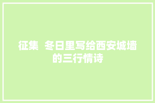 征集  冬日里写给西安城墙的三行情诗