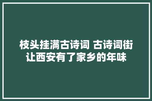 枝头挂满古诗词 古诗词街让西安有了家乡的年味