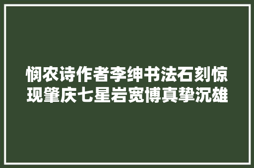 悯农诗作者李绅书法石刻惊现肇庆七星岩宽博真挚沉雄厚实