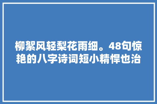 柳絮风轻梨花雨细。48句惊艳的八字诗词短小精悍也治愈人心