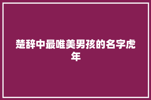 楚辞中最唯美男孩的名字虎年