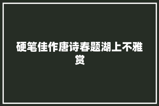 硬笔佳作唐诗春题湖上不雅赏