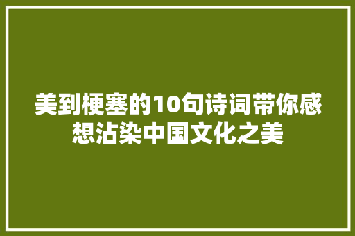 美到梗塞的10句诗词带你感想沾染中国文化之美