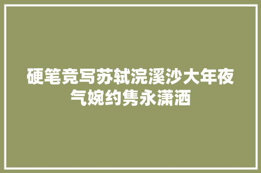 硬笔竞写苏轼浣溪沙大年夜气婉约隽永潇洒