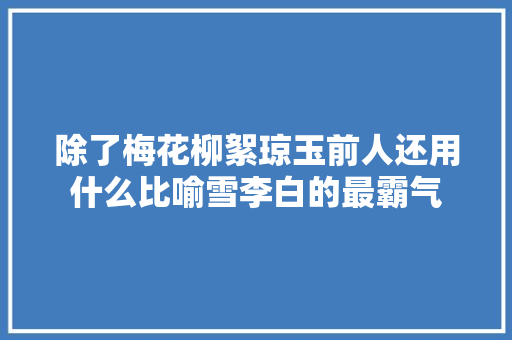 除了梅花柳絮琼玉前人还用什么比喻雪李白的最霸气