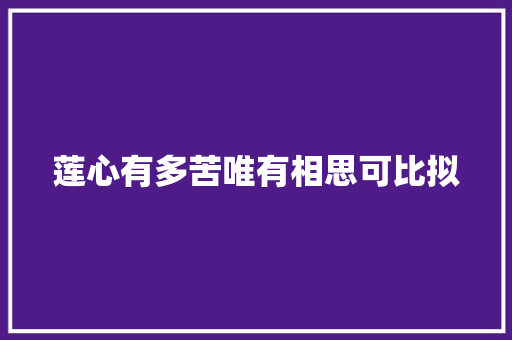 莲心有多苦唯有相思可比拟