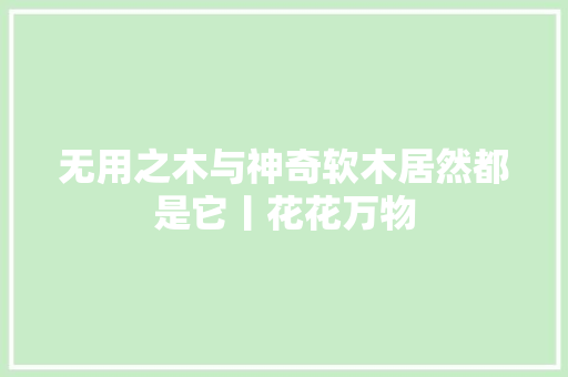 无用之木与神奇软木居然都是它丨花花万物