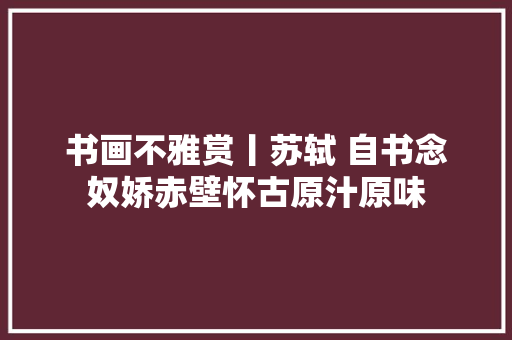 书画不雅赏丨苏轼 自书念奴娇赤壁怀古原汁原味