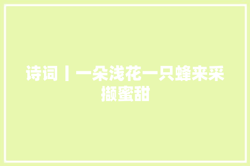 诗词丨一朵浅花一只蜂来采撷蜜甜