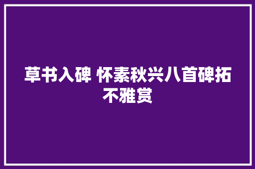 草书入碑 怀素秋兴八首碑拓不雅赏