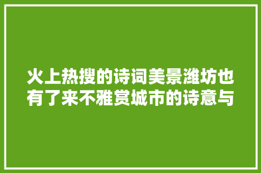 火上热搜的诗词美景潍坊也有了来不雅赏城市的诗意与浪漫吧