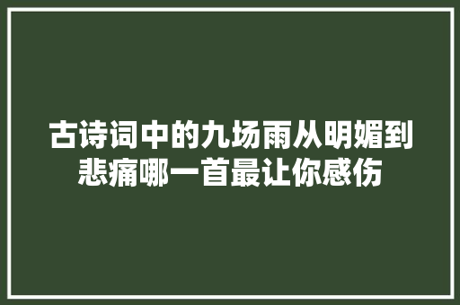 古诗词中的九场雨从明媚到悲痛哪一首最让你感伤