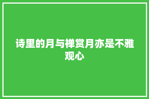 诗里的月与禅赏月亦是不雅观心