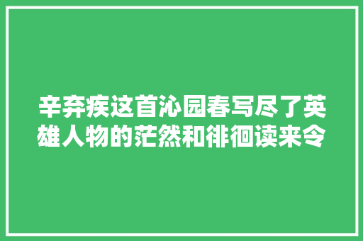 辛弃疾这首沁园春写尽了英雄人物的茫然和徘徊读来令人流泪