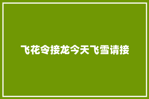 飞花令接龙今天飞雪请接