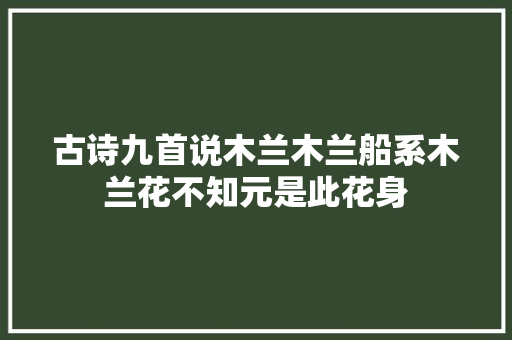 古诗九首说木兰木兰船系木兰花不知元是此花身