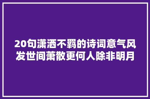 20句潇洒不羁的诗词意气风发世间萧散更何人除非明月清风我