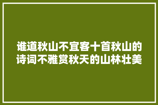 谁道秋山不宜客十首秋山的诗词不雅赏秋天的山林壮美