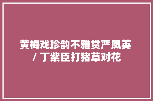 黄梅戏珍韵不雅赏严凤英 / 丁紫臣打猪草对花