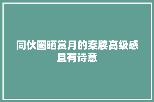 同伙圈晒赏月的案牍高级感且有诗意