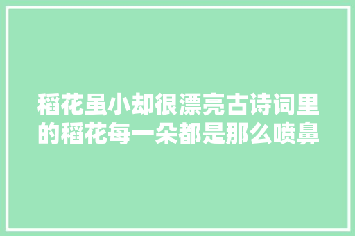 稻花虽小却很漂亮古诗词里的稻花每一朵都是那么喷鼻香甜