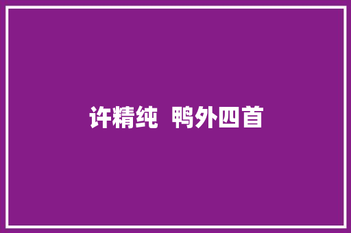 许精纯  鸭外四首