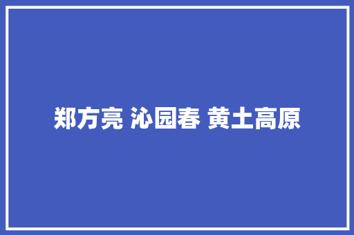 郑方亮 沁园春 黄土高原