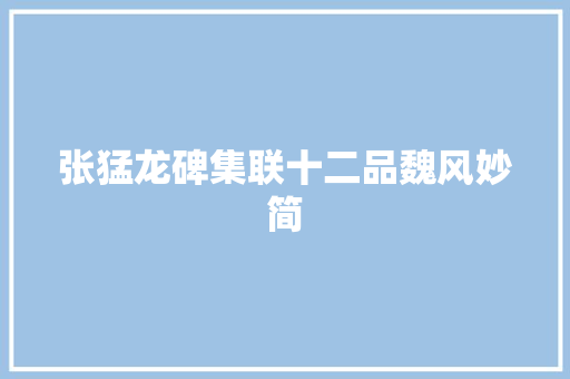 张猛龙碑集联十二品魏风妙简