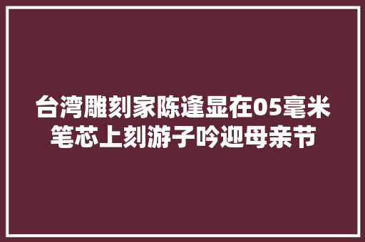 台湾雕刻家陈逢显在05毫米笔芯上刻游子吟迎母亲节