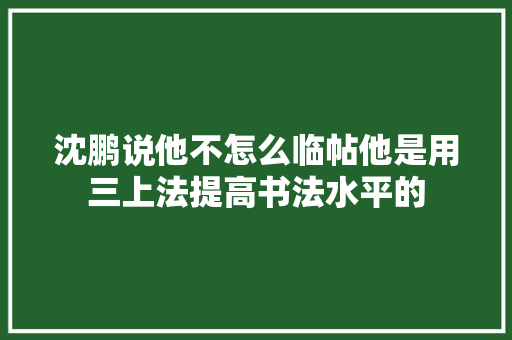 沈鹏说他不怎么临帖他是用三上法提高书法水平的