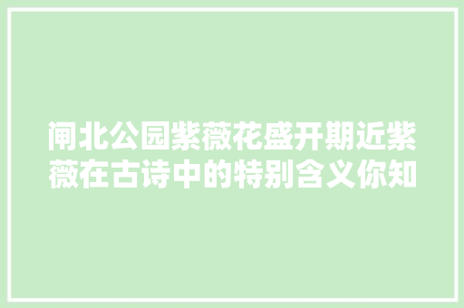 闸北公园紫薇花盛开期近紫薇在古诗中的特别含义你知道么