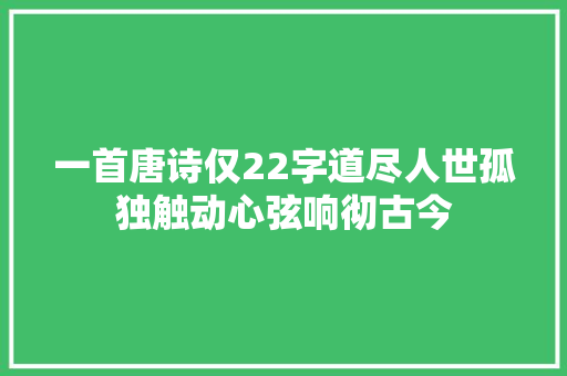 一首唐诗仅22字道尽人世孤独触动心弦响彻古今