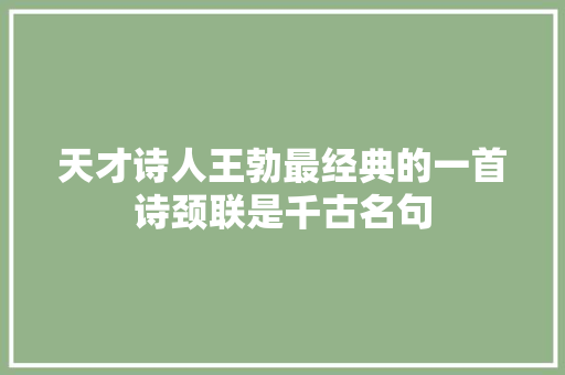 天才诗人王勃最经典的一首诗颈联是千古名句