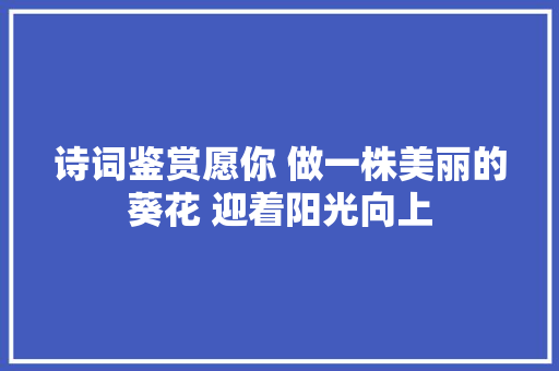 诗词鉴赏愿你 做一株美丽的葵花 迎着阳光向上