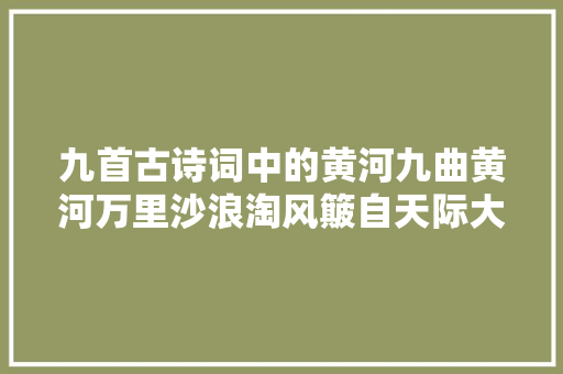 九首古诗词中的黄河九曲黄河万里沙浪淘风簸自天际大年夜气磅礴