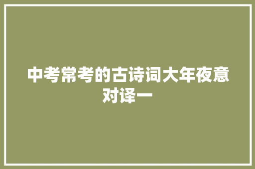 中考常考的古诗词大年夜意对译一