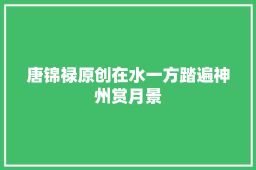 唐锦禄原创在水一方踏遍神州赏月景