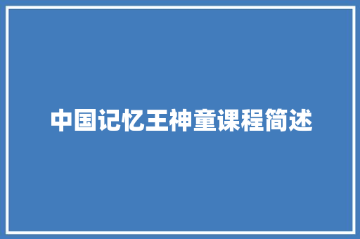 中国记忆王神童课程简述