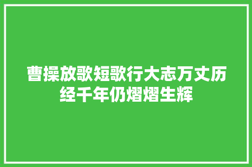 曹操放歌短歌行大志万丈历经千年仍熠熠生辉