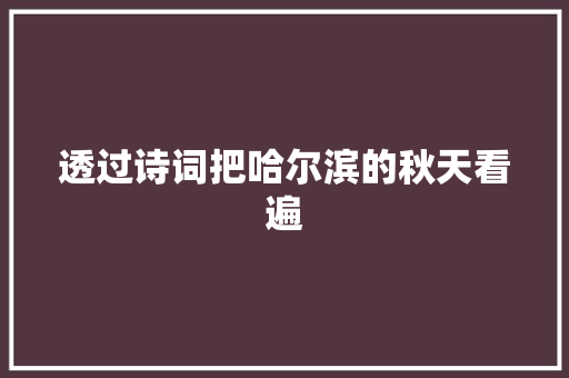 透过诗词把哈尔滨的秋天看遍