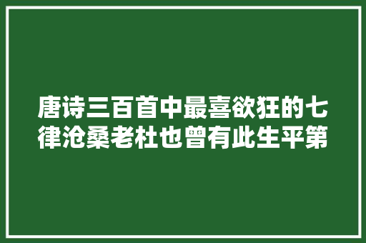 唐诗三百首中最喜欲狂的七律沧桑老杜也曾有此生平第一快诗