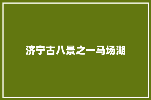 济宁古八景之一马场湖