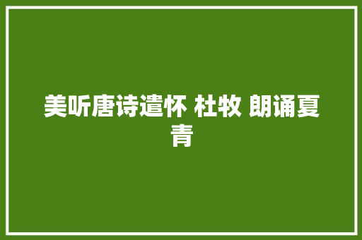 美听唐诗遣怀 杜牧 朗诵夏青