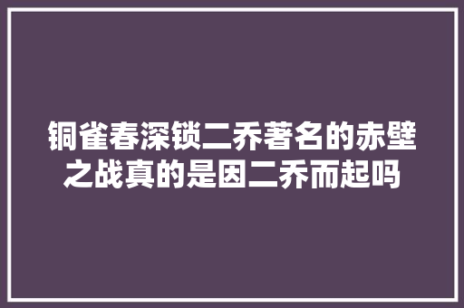 铜雀春深锁二乔著名的赤壁之战真的是因二乔而起吗