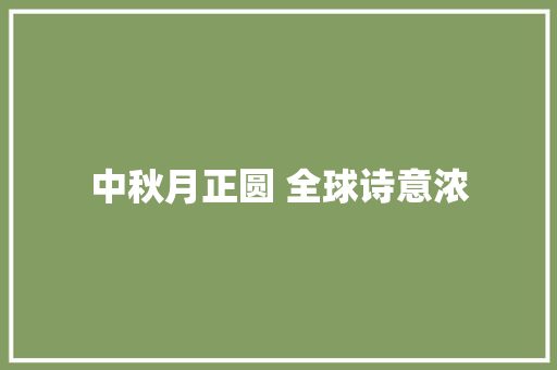 中秋月正圆 全球诗意浓