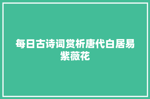 每日古诗词赏析唐代白居易紫薇花