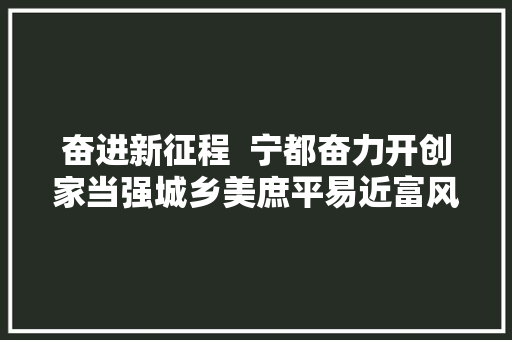 奋进新征程  宁都奋力开创家当强城乡美庶平易近富风气正新局面